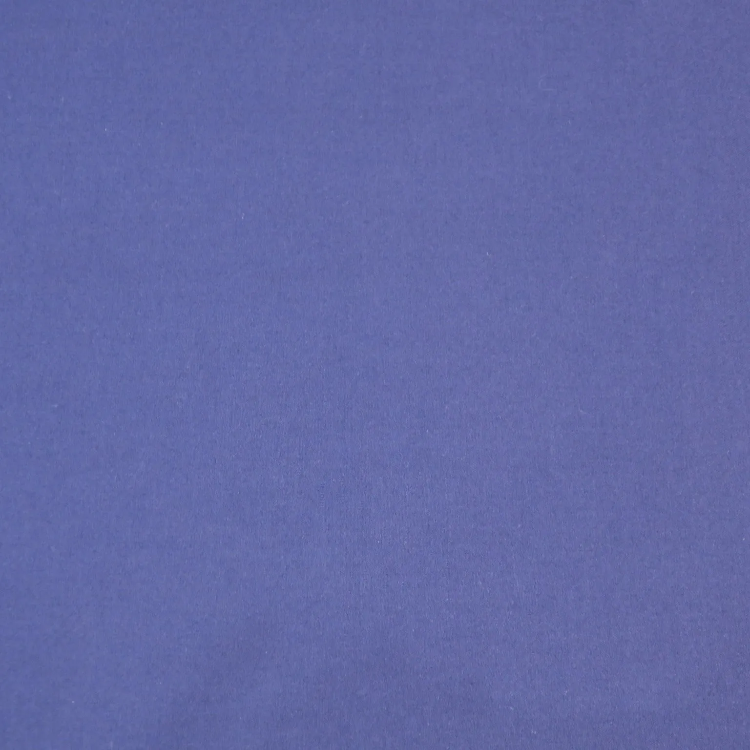 Medium Blue Solid Luxury Cotton with Cashmere Holland & Sherry Fabric