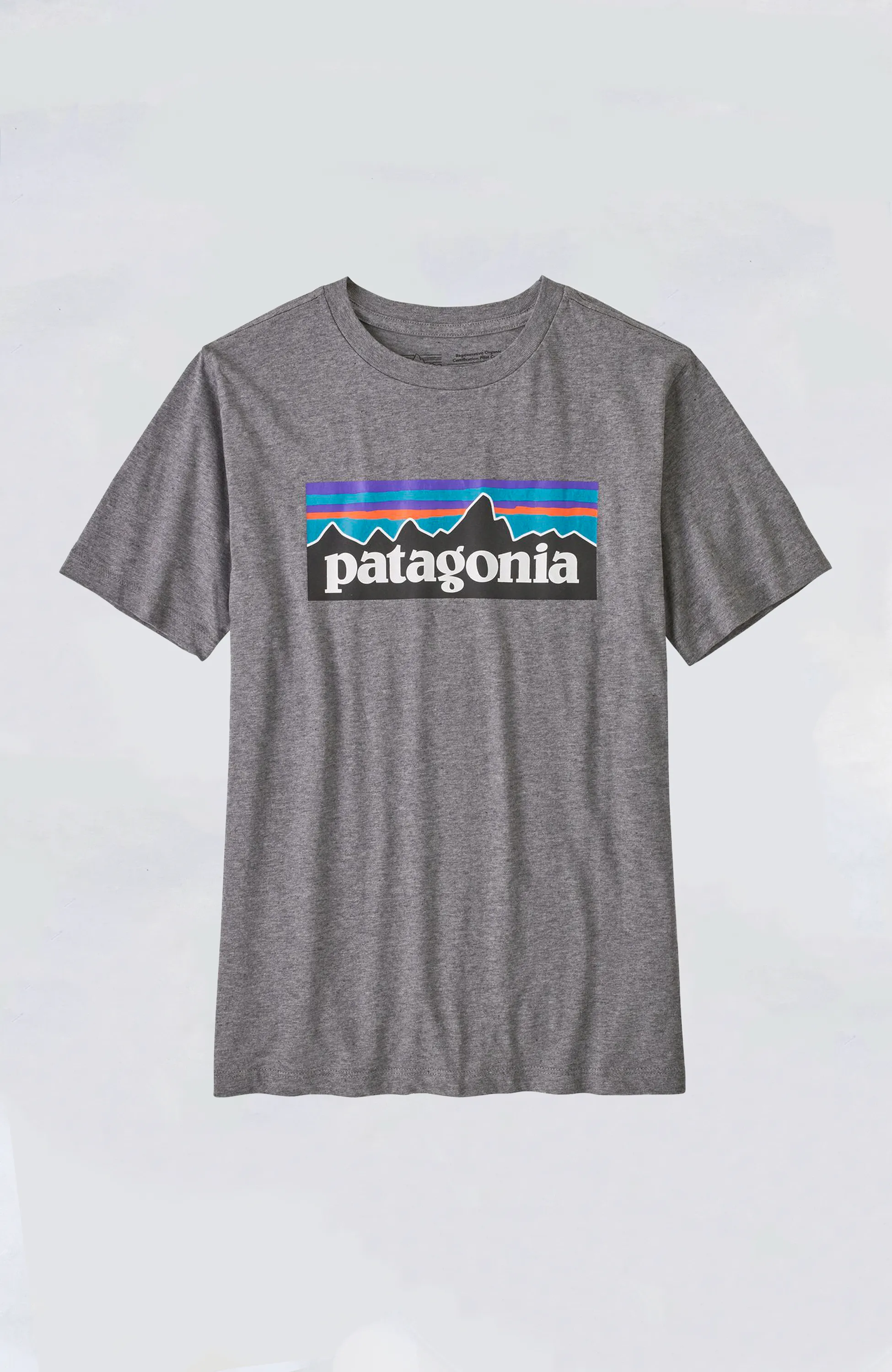 Patagonia - Boys' Regenerative Organic Certification Cotton P-6 Logo T-S